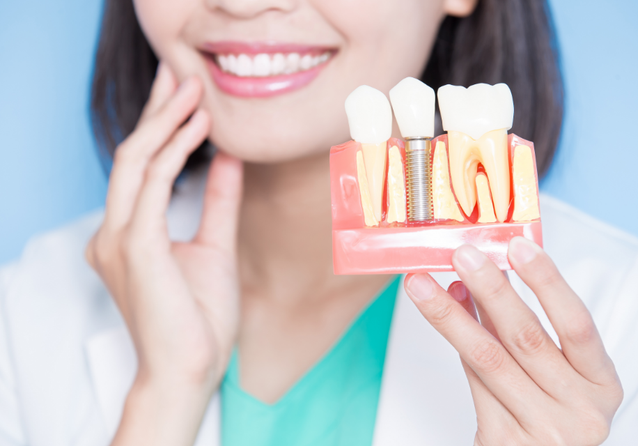 Dentist with dental implant model